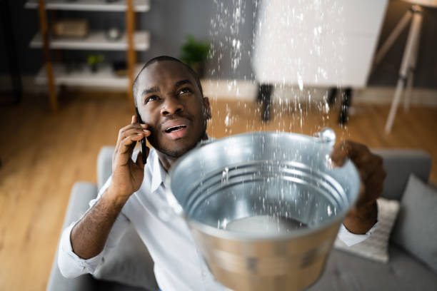 Best Professional water damage repair  in Hillsborough, NJ