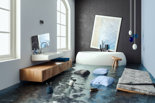 Best Ceiling water damage repair  in Hillsborough, NJ