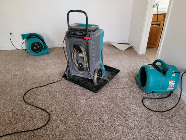 Best Water damage restoration near me  in Hillsborough, NJ