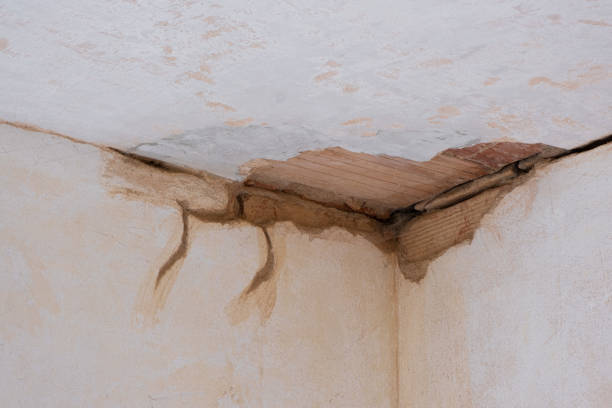 Best 24-hour water damage restoration  in Hillsborough, NJ