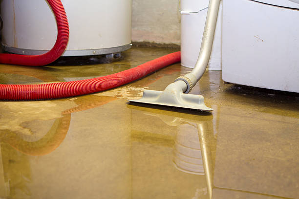 Best Sewage cleanup and water damage restoration  in Hillsborough, NJ