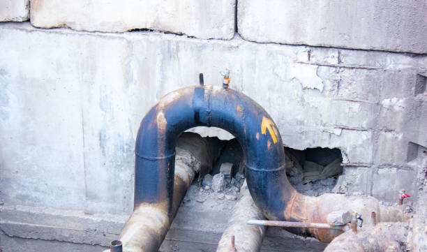 Best Local water damage restoration  in Hillsborough, NJ